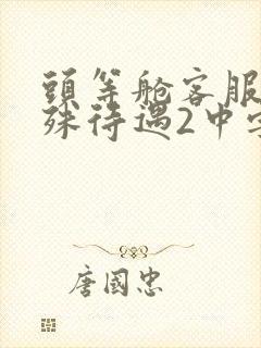 头等舱客服的特殊待遇2中字