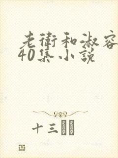 老卫和淑容1-40集小说