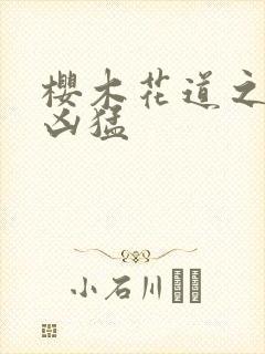 樱木花道之重生凶猛