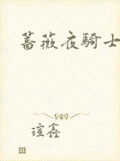 蔷薇夜骑士