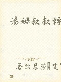 汤姆叔叔转接口