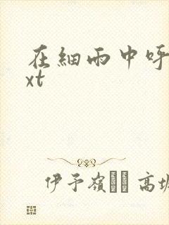 在细雨中呼喊txt