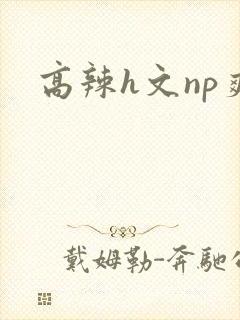 高辣h文np爽