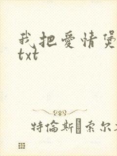 我把爱情煲成汤txt