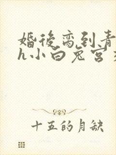 婚后脔到青梅哭h小白兔宫交h