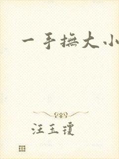 一手抚大小说