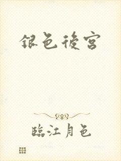 银色后宫