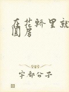 在花轿里就开始圆房