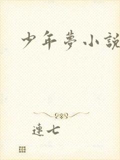 《少年梦小说》小说封面