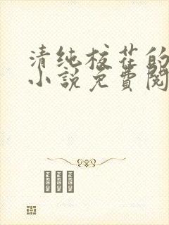 清纯校花的秘密小说免费阅读