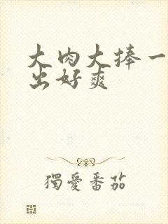 大肉大捧一进一出好爽
