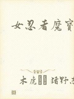 女忍者魔宝传