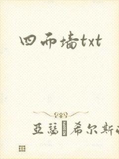 四面墙txt