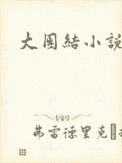 大团结小说阅读