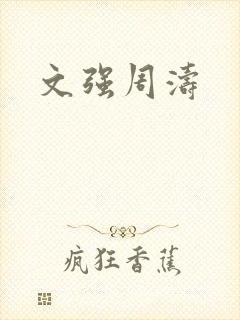 文强周涛