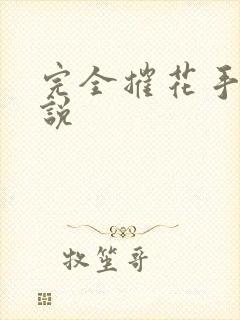 完全摧花手册小说