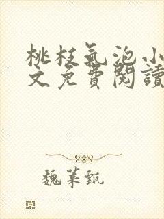 桃枝气泡小说全文免费阅读封面