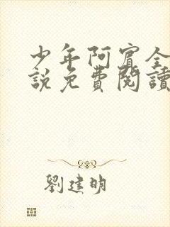 少年阿宾全文小说免费阅读笔趣阁