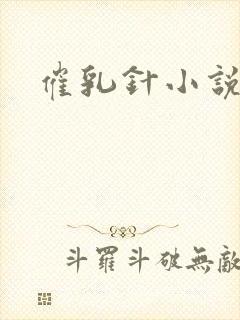 催乳针小说