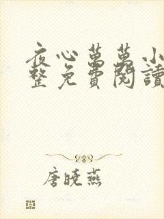 夜心万万小说完整免费阅读全文