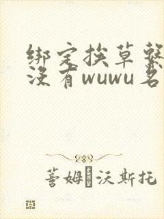 绑定挨草系统后没有wuwu名字