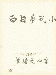 白日梦我小说