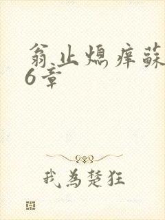 翁止熄痒苏玥第6章