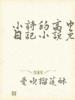 小诗的高中成长日记小说免费阅读
