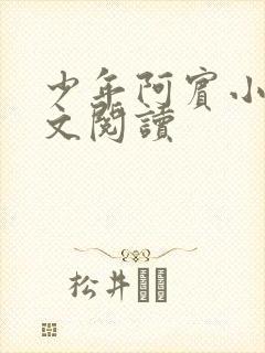 少年阿宾小说全文阅读