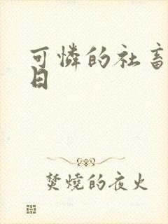 可怜的社畜东度日