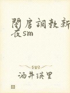 闺房调教新婚之夜sm