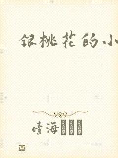 银桃花的小说