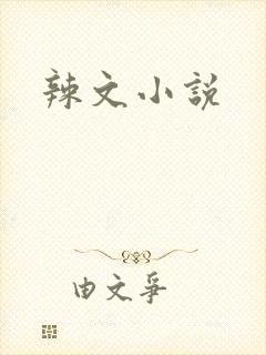 辣文小说