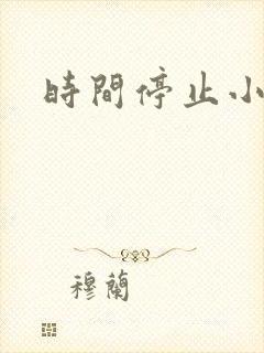 时间停止小说
