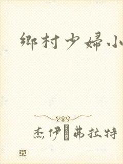 乡村少妇小说