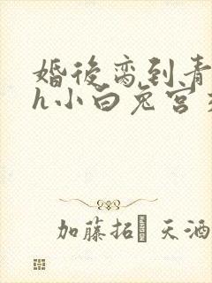 婚后脔到青梅哭h小白兔宫交h