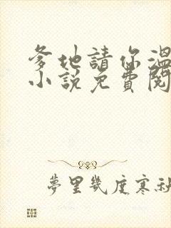 爹地请你温柔点小说免费阅读