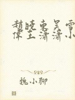 赵晓东吴雪晴郑伟王潇潇小说封面