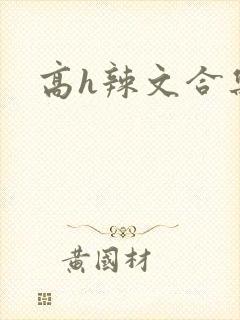 《高h辣文合集》小说封面