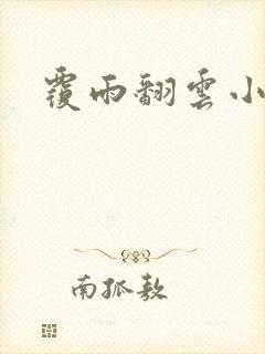 覆雨翻云小说
