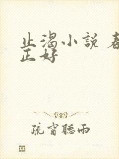 止渴小说 春光正好封面