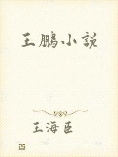 王鹏小说