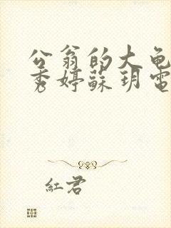 公翁的大龟挺进秀婷苏玥电影