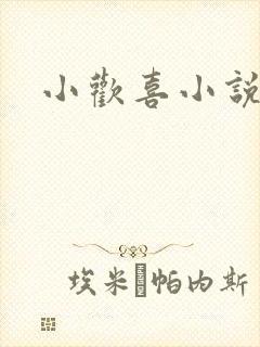 小欢喜小说