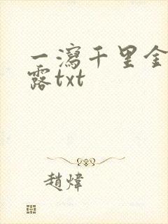 一泻千里金银花露txt