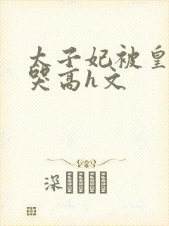 太子妃被皇上c哭高h文