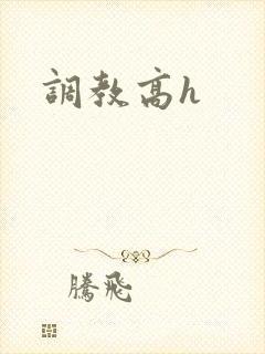 调教高h
