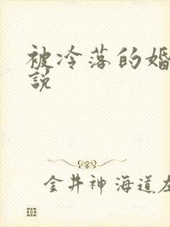 被冷落的婚姻小说
