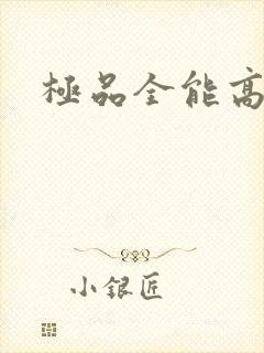 极品全能高手