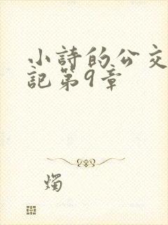 小诗的公交车日记第9章